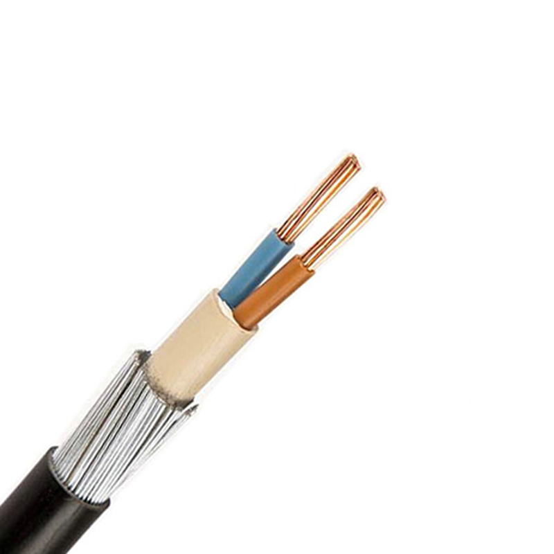 25mm 2Core Armoured Cable